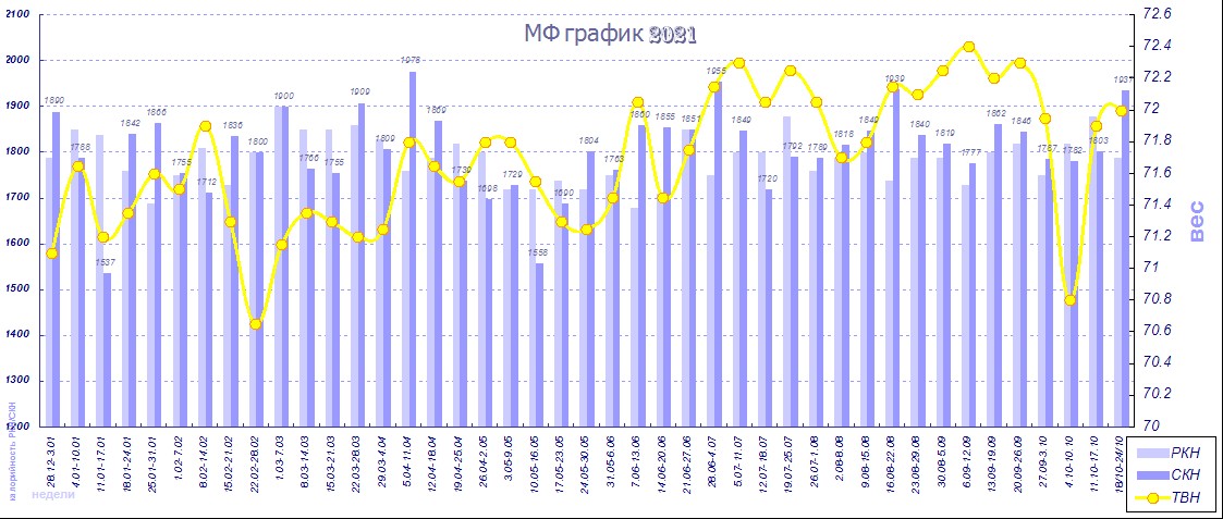 МФ график 2021.jpg